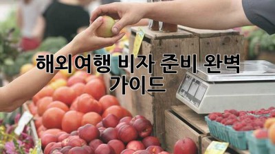 해외여행 비자 준비 완벽 가이드