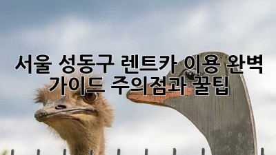 서울 성동구 렌트카 이용 완벽 가이드: 주의점과 꿀팁!